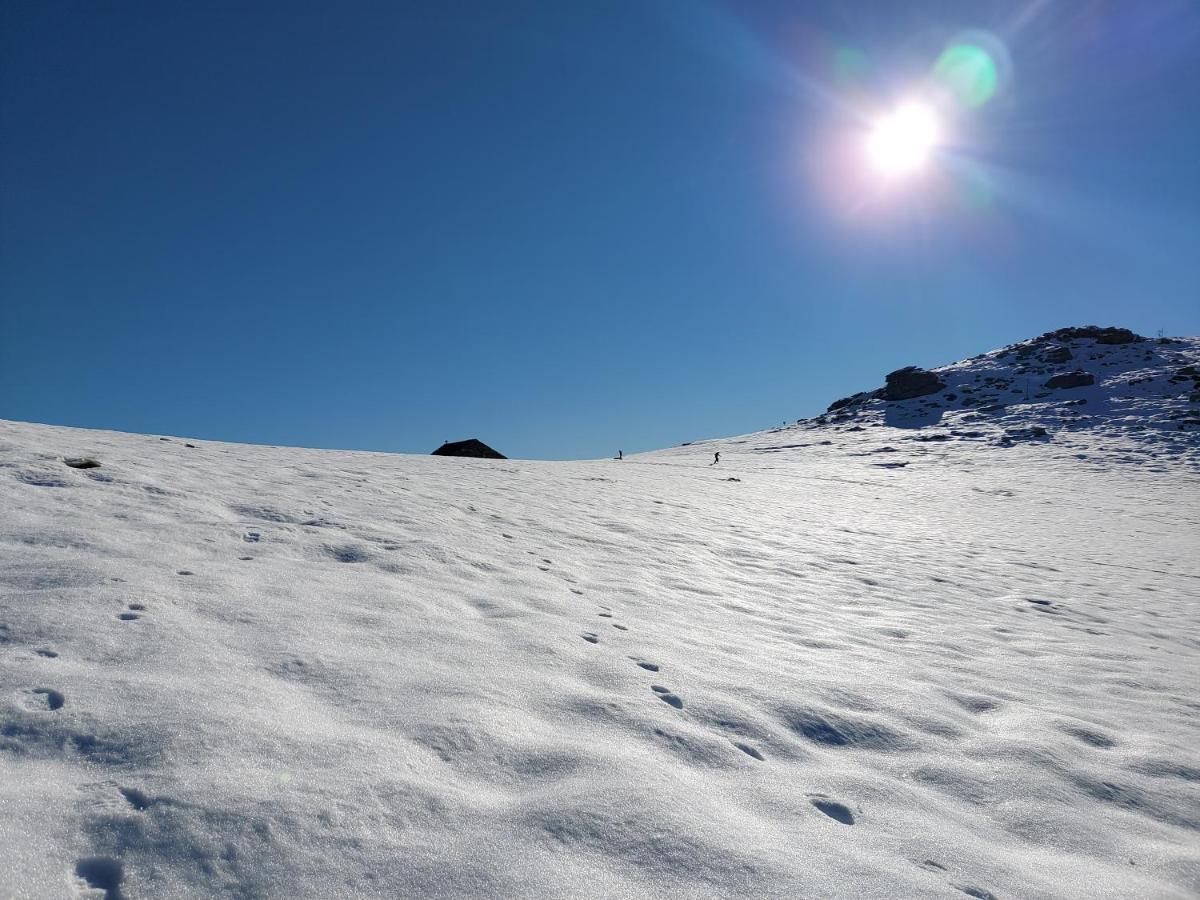 Gran Paradiso Alpette Kültér fotó