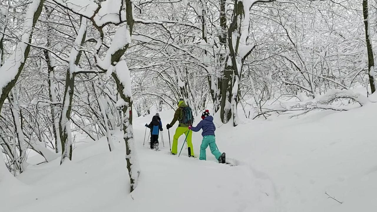 Gran Paradiso Alpette Kültér fotó