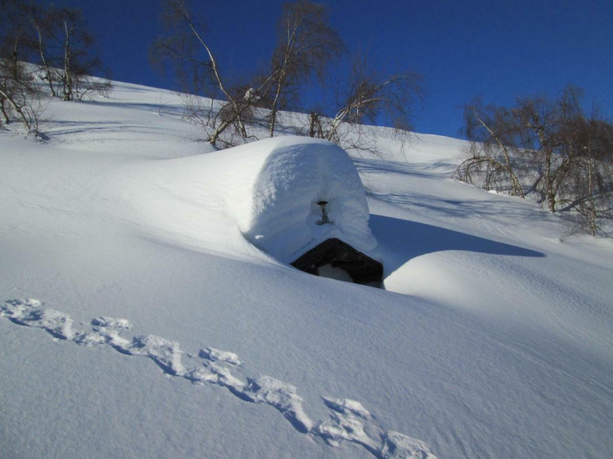 Gran Paradiso Alpette Kültér fotó